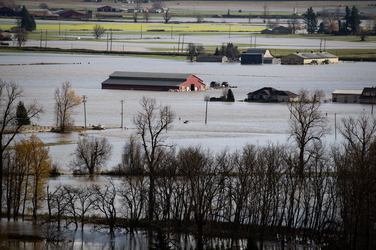 BC agriculture flooded farm Abbotsford