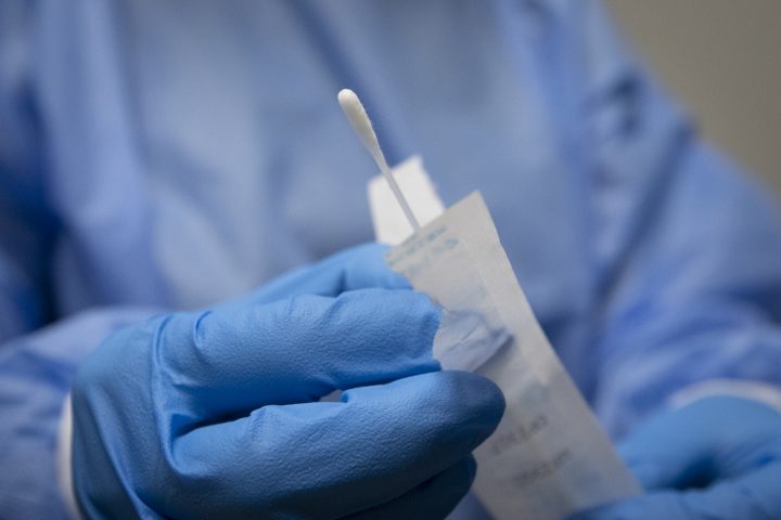 covid test swab