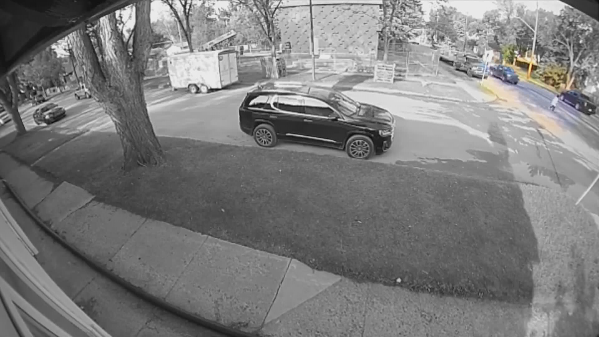 Facebook: Loddy Toddy