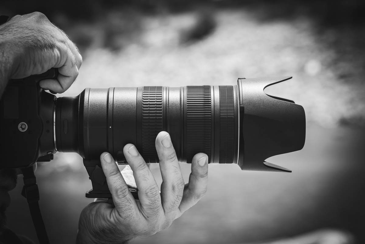 Wilder Institute/Calgary Zoo – FOCUSED - image