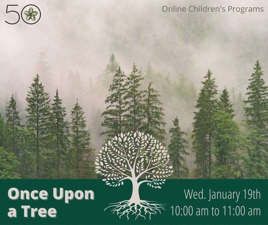 Once Upon a Tree – Virtual Children’s Workshop - image