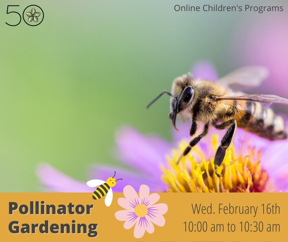Virtual Pollinator Gardening Workshop for Kids - image