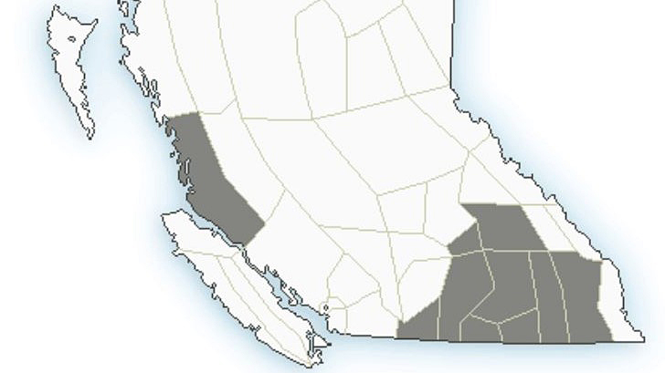 Fog advisory BC Southern Interior