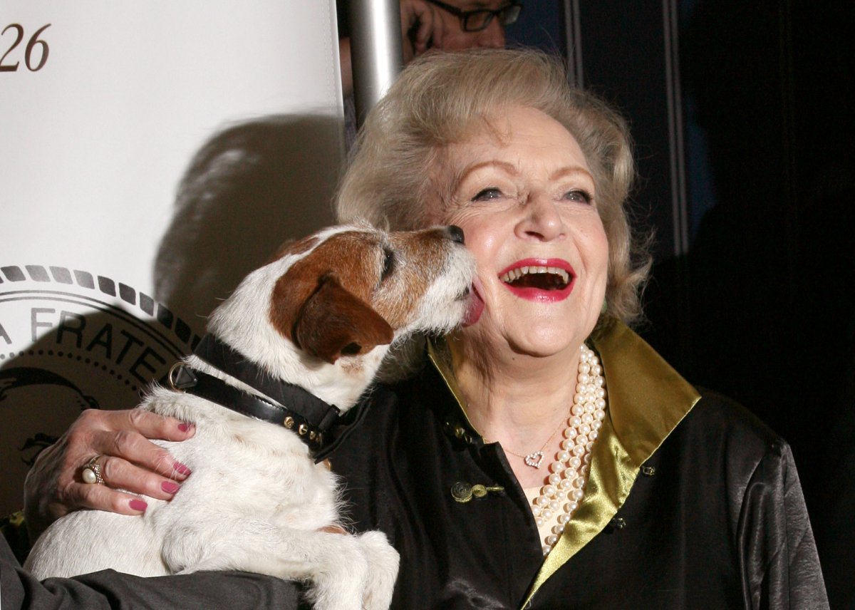 NEW YORK, NY - MAY 16, 2012: Actress Betty White (R) and Uggie the dog attends The Friars Club Salute To Betty White at Sheraton New York Hotel & Towers on May 16, 2012 in New York City.