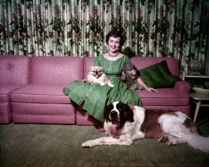 Betty White poses at home with her dogs Bandy, Stormy, Danny in 1954.