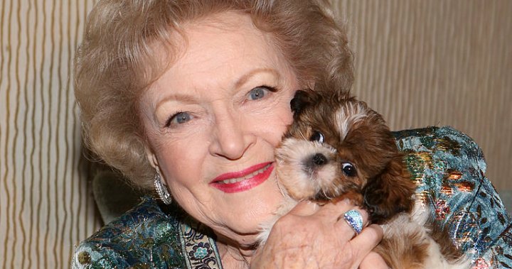 #BettyWhiteChallenge: Fans to honour TV icon with animal rescue donations