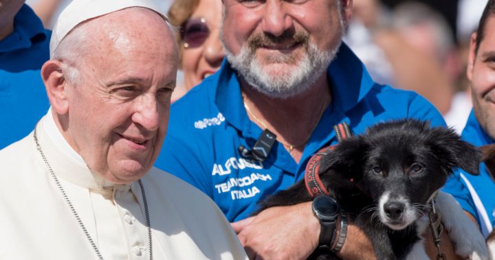 Pope under fire after calling people ‘selfish’ for having pets instead of kids