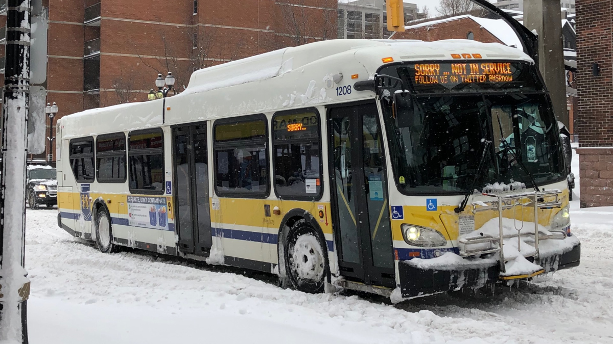 Hamilton bus in the snow