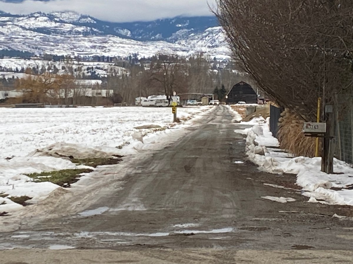 RCMP called to report of man with weapon on Byrns Road in Kelowna - image