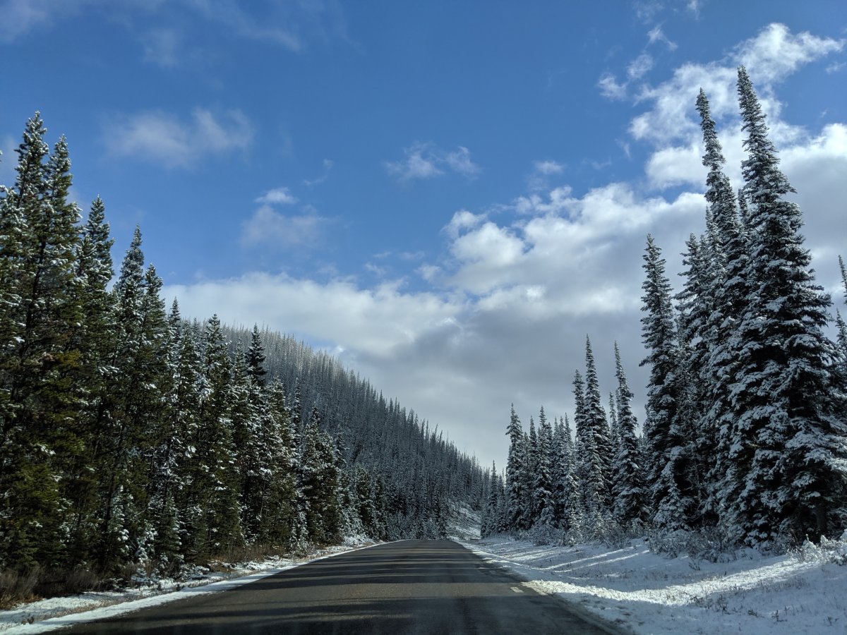 File: Highway 93 in Jasper National Park on Oct. 14, 2019.