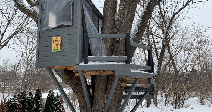 Pointe-Claire, Que. treehouse generates controversy as city claims structure is on public land