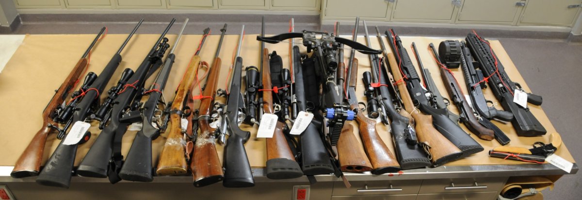 Photo of 18 seized firearms
