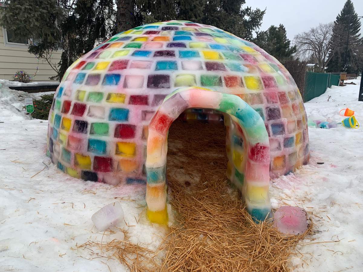 Tyler Gamblin is sleeping in a homemade igloo for three nights to raise money for the MS Society of Canada.