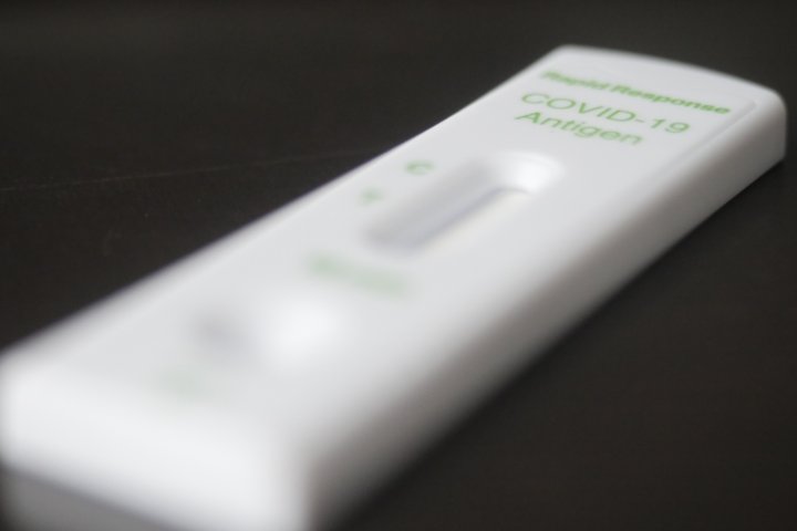 Thousands of rapid test results already reported to made-in-Sask. online database