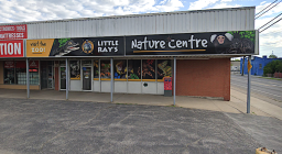 Continue reading: Little Ray’s hopes fundraiser will cover shortfalls as pandemic threatens Hamilton reptile centre