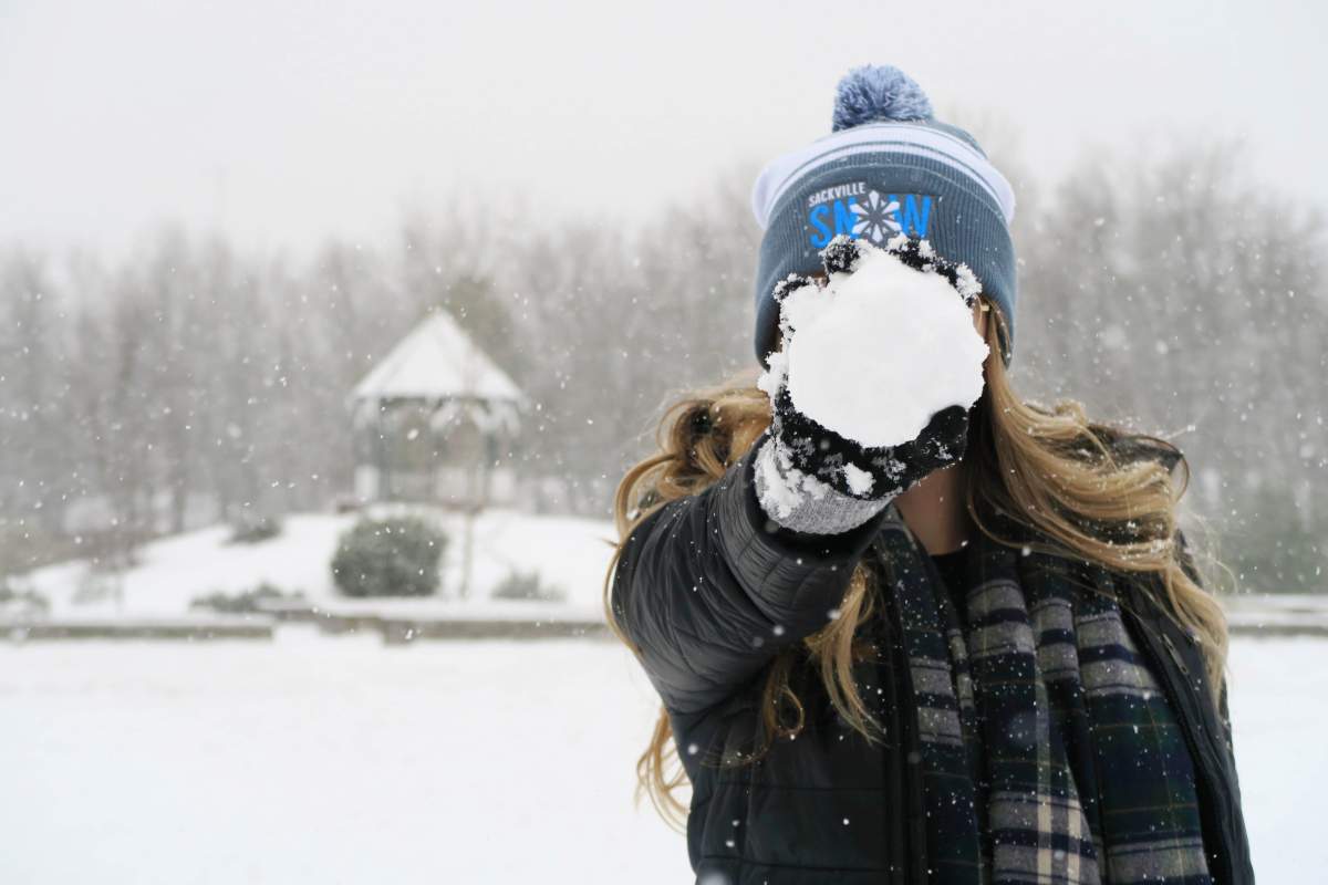 Sackville Snow Days - image