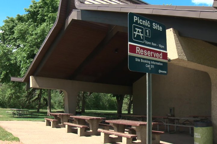 Edmonton councillors put alcohol consumption in parks program on hold