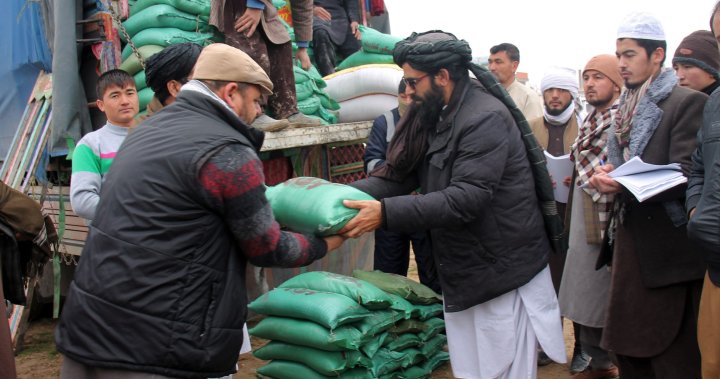 Taliban want greater role in distributing foreign aid in Afghanistan