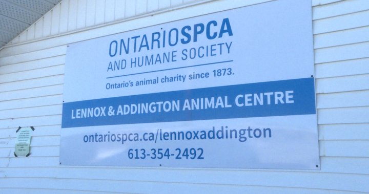 Burst water pipes, no heat force animal shelter in Napanee, Ont. to temporarily close doors