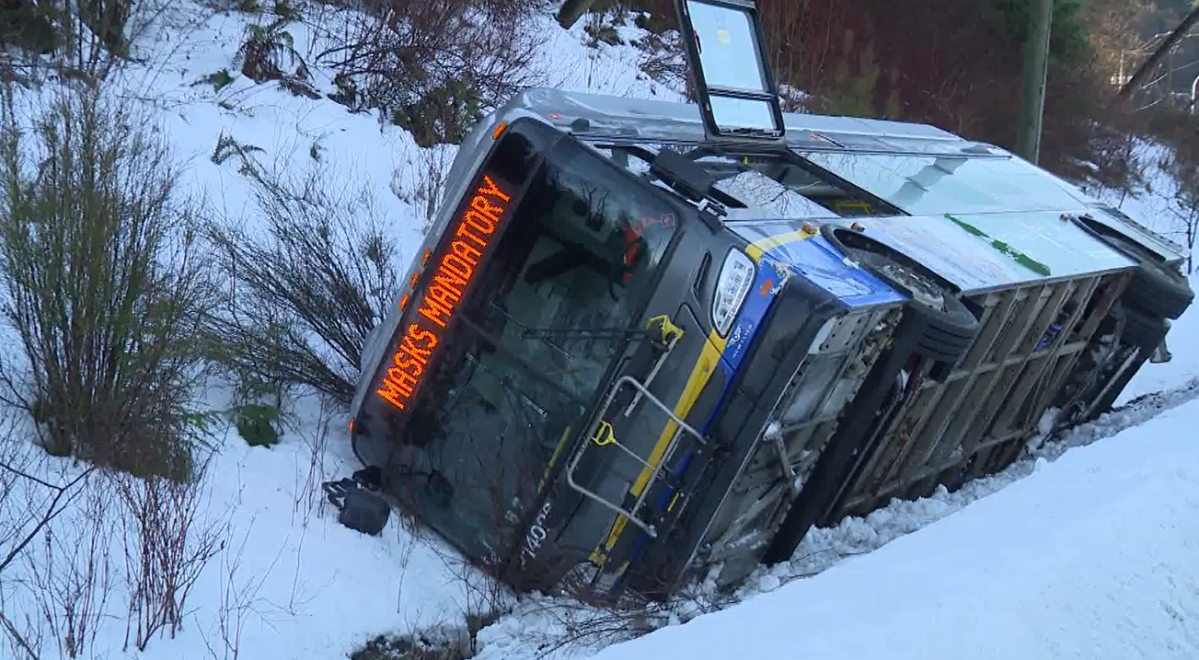 A TransLink bus seen crashed in a ditch on the Barnett Highway, Sunday. 