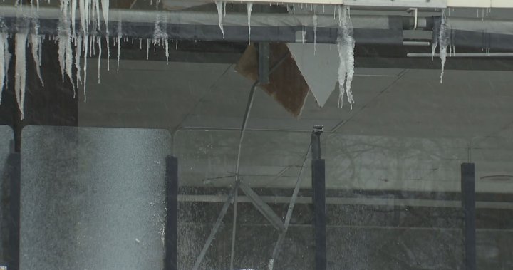 След силно застудяване през януари в три провинции, Застрахователното бюро