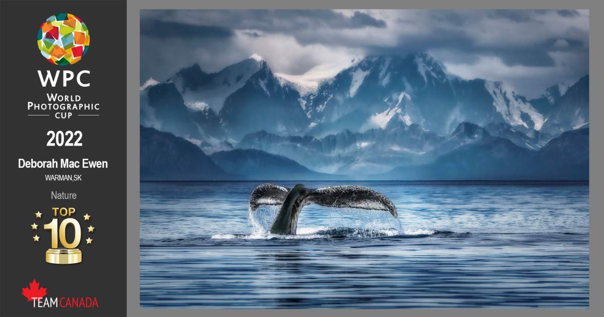 DEBORAH'S AWARD WINNING PHOTO