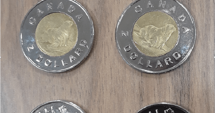 Police investigate counterfeit $2 coins used at store in eastern Ontario | Globalnews.ca