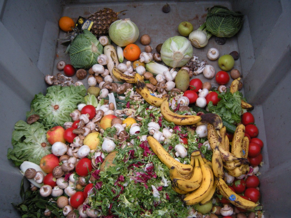 A Manitoba company is among 18 others from across Canada that's receiving $100,000 from the federal government to help develop food waste reduction solutions.