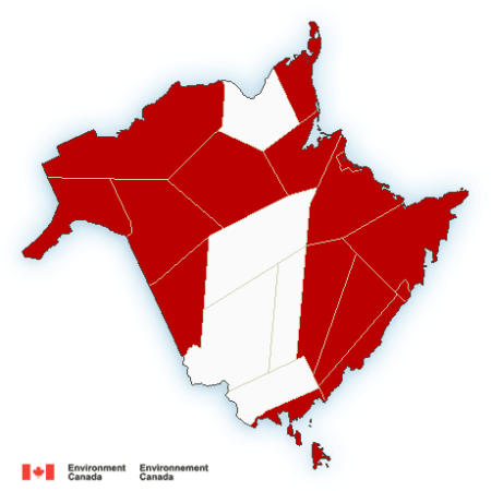 Parts of Nova Scotia could see up to 50 cm of snow in weekend winter ...