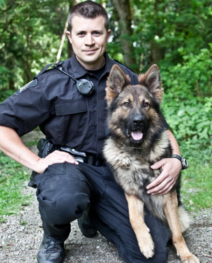 Ex hot sale police dogs