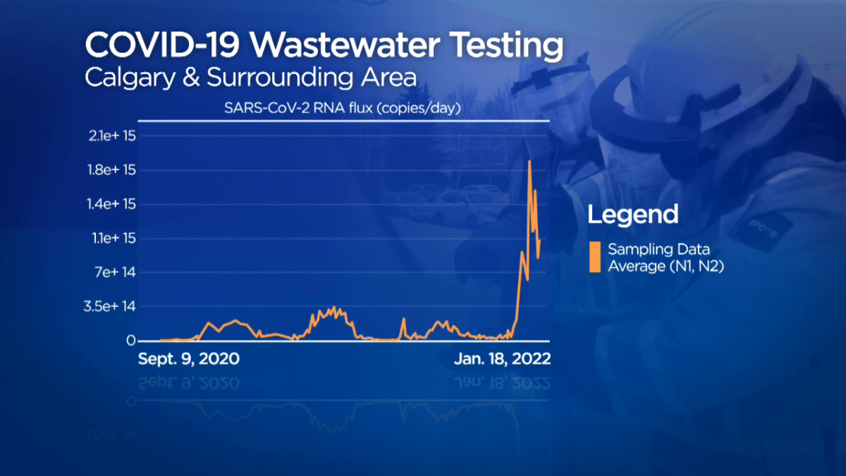 A graph of COVID-19 prevalence in Calgary and area wastewater since the University of Calgary started tracking it.