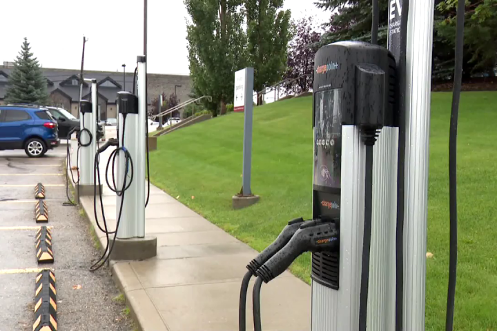 Peterborough council supports public art policy update, new electric vehicle charging stations