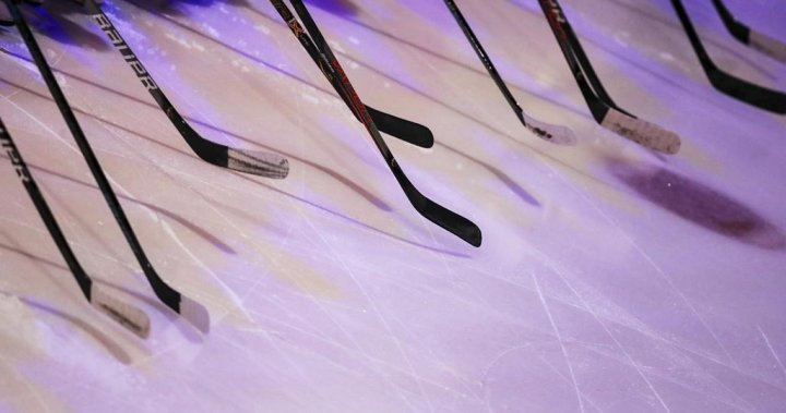 Competitive women’s hockey expanding across Saskatchewan
