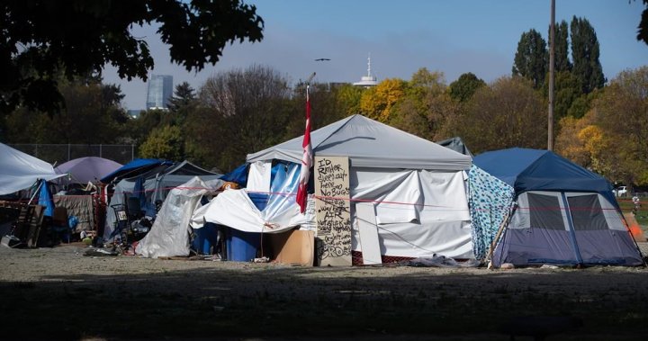 Brain injury endemic among homeless, says Vancouver researcher