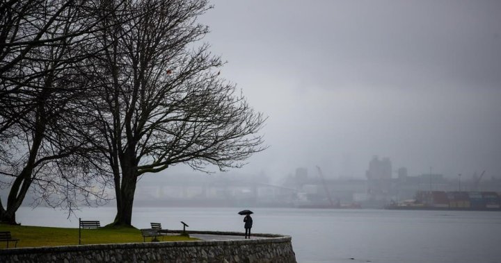 Премахването на борда на парка във Ванкувър напредва с нова преходна група