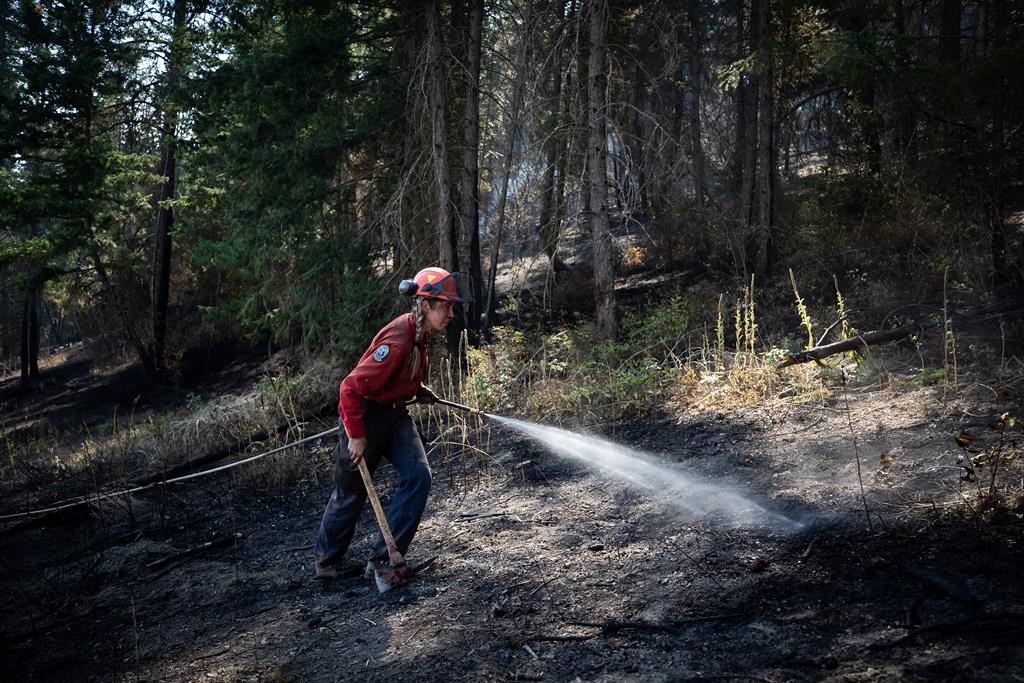 Wildland firefighter Katie Devaney carries an axe and hose as she works to extinguish hot spots remaining from a controlled burn the B.C. Wildfire Service conducted to help contain the White Rock Lake wildfire on Okanagan Indian Band land, northwest of Vernon on Wednesday, August 25, 2021.