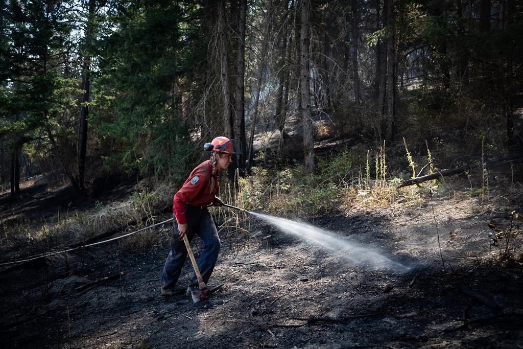 A B.C. Wildfire firefighter, Katie Devaney, douses a hot spot during a controlled burn last year to help contain the White Rock Lake wildfire.