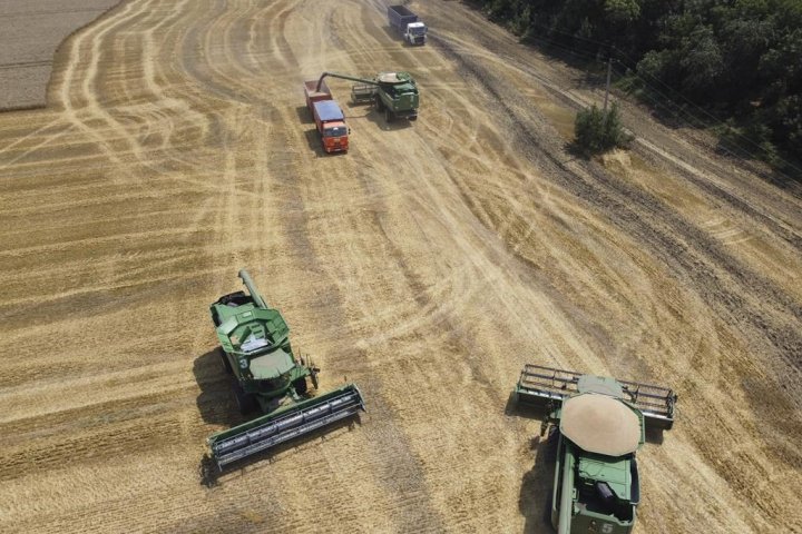 Farmers getting less, consumers paying more: Sask. Farmers and Food Prices report