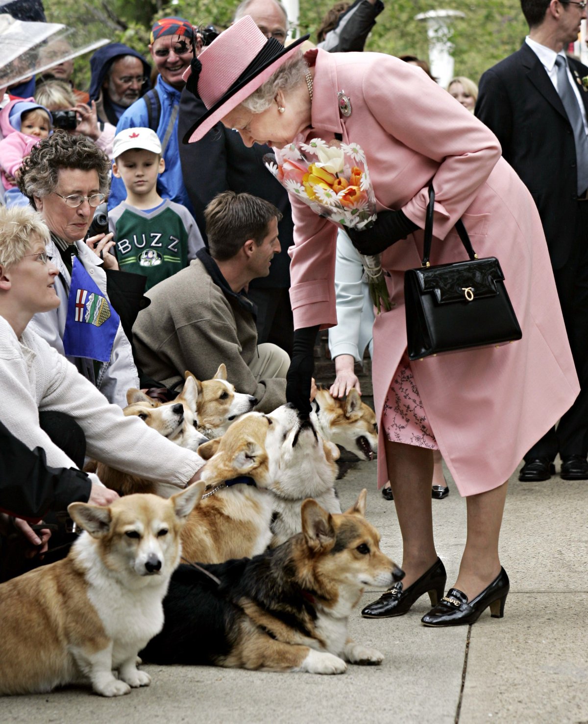 FILE - Queen Elizabeth II leans to pet a group of corgi dogs as she leaves the Alberta Legislature in Edmonton, Tuesday, May 24, 2005.