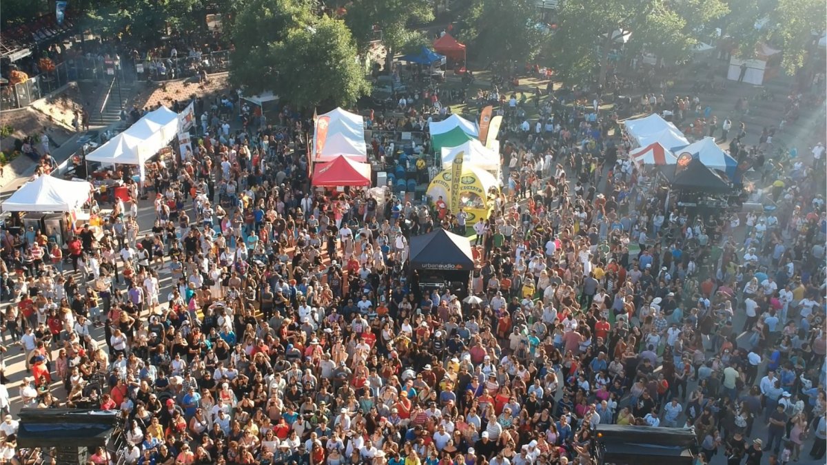 Fiestaval Latino Festival - image