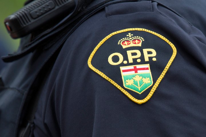 Woman charged after 2 police officers allegedly assaulted during arrest in Orillia
