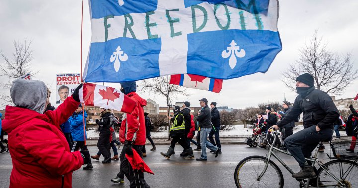 IN IMAGES: Thousands demonstrate in Montreal in support of anti-mandate protest