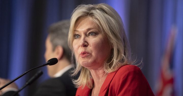 Mississauga mayor addresses allegations councillor ‘repeatedly vandalized’ another councillor’s car