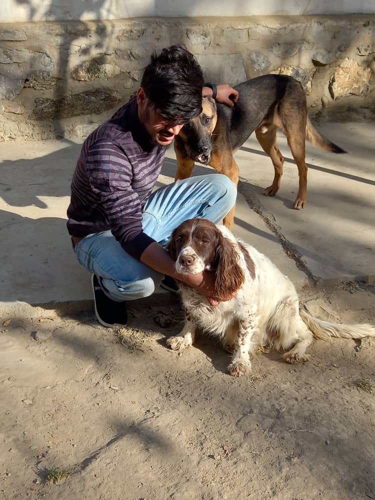 Kabul Small Animal Rescue