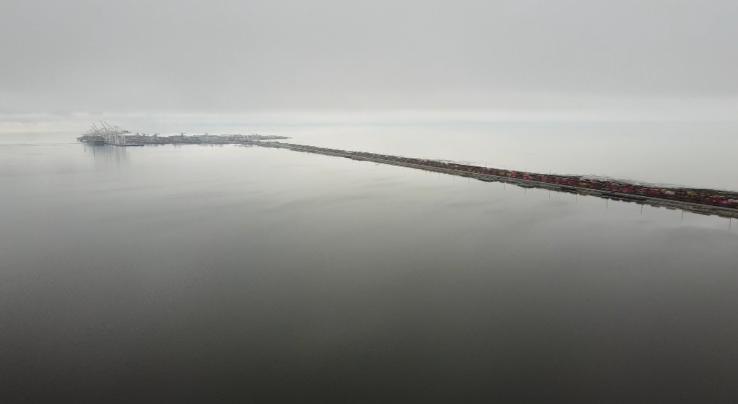 Councillors in the City of Delta, B.C. voted to reject a proposed new marine container terminal for Roberts Bank, citing environmental concerns among other impacts.