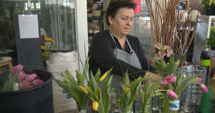Montreal florist makes life brighter for palliative care patients