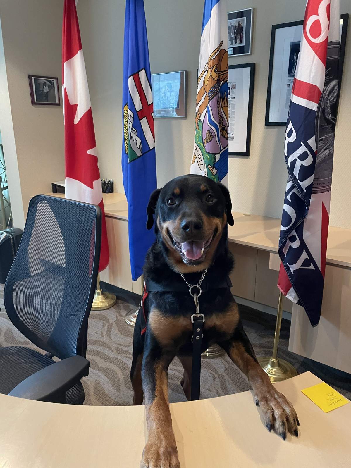 Kuno at City Hall on February 17, 2022