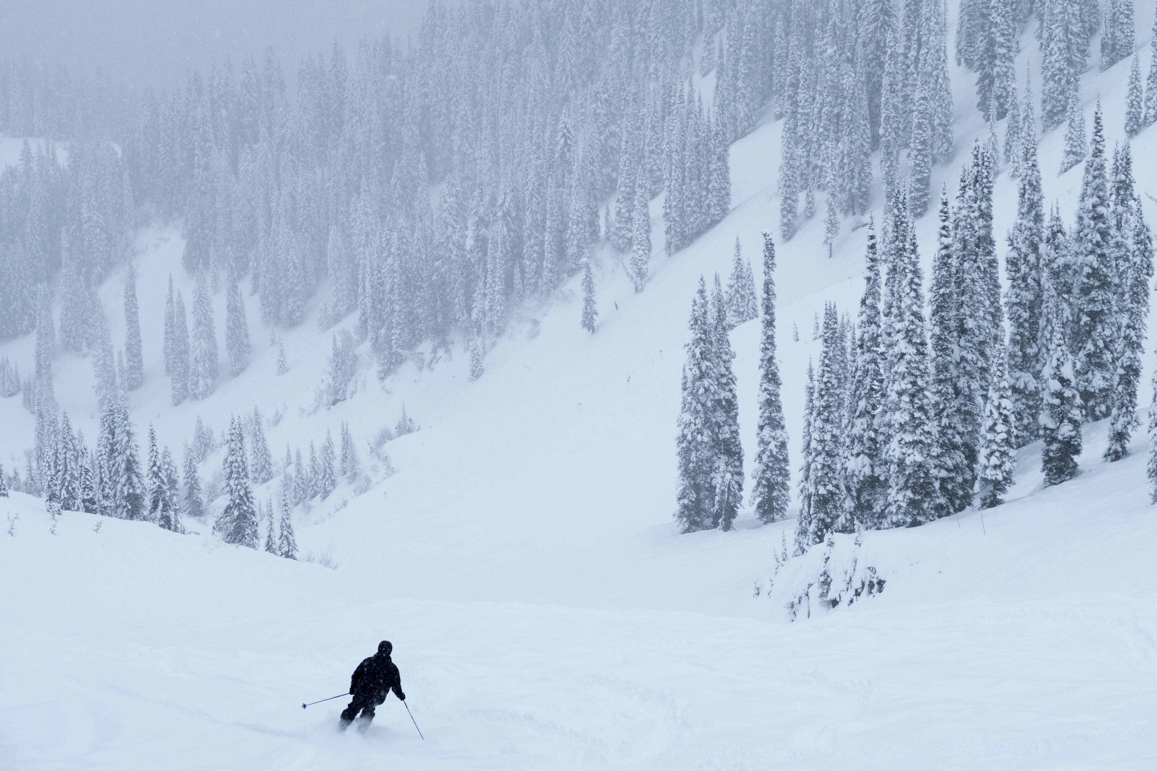 Calgary Man Dies After Skiing Into Tree At Fernie Resort: RCMP ...