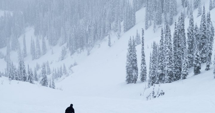 Calgary man dies after skiing into tree at Fernie resort: RCMP