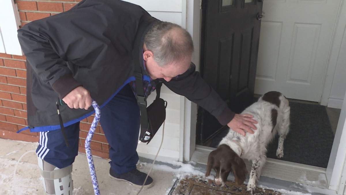 Andrew Lee and his dog, Sophie. She alerted him to a life-threatening condition by waking him up in the middle of the night.